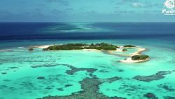 CNNE 1121520 - algunos destinos favoritos son- las maldivas, mexico, tanzania y la india