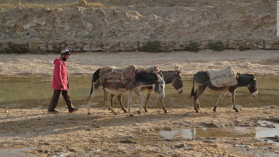 Un hombre guía a sus burros por un campo reseco en Bala Murghab, provincia de Badghis, Afganistán, el 15 de octubre.