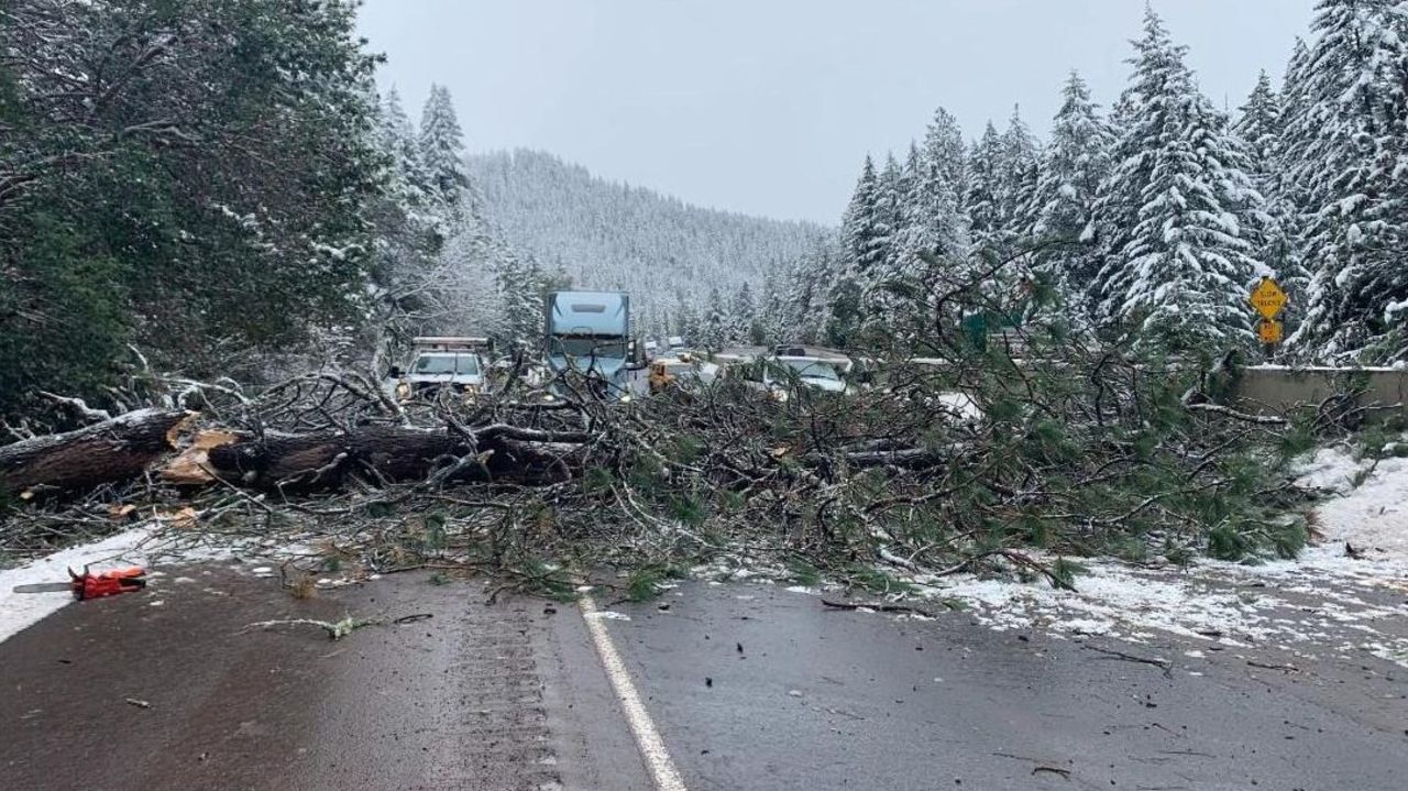 CNNE 1125466 - asi un auto esquiva un arbol que cae en la autopista