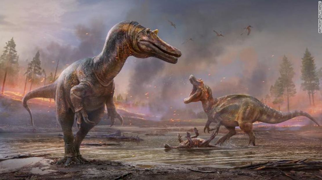 Se descubrieron dos nuevas especies de dinosaurios espinosáuridos a partir de fósiles encontrados en la Isla de Wight: una llamada "garza del infierno" y la otra "cazador de ribera".