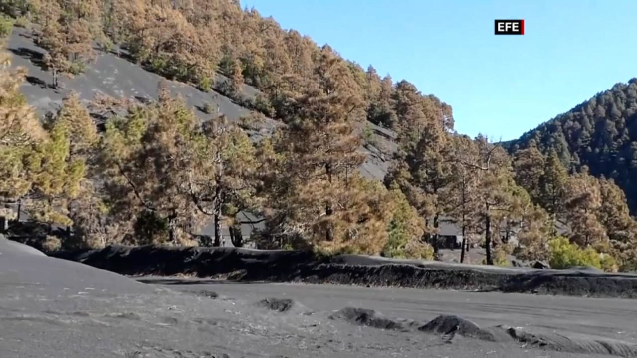 CNNE 1133498 - detectan lluvia acida por el volcan cumbre vieja