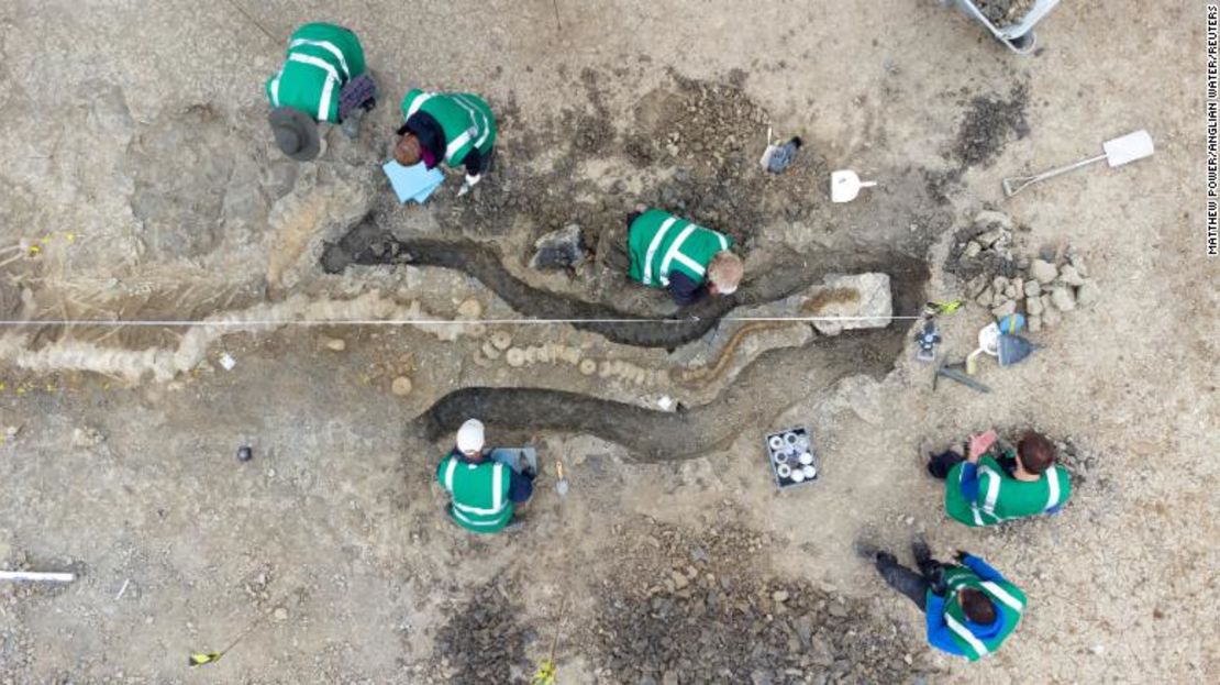 Paleontólogos trabajan en la excavación del fósil de ictiosaurio en agosto de 2021.