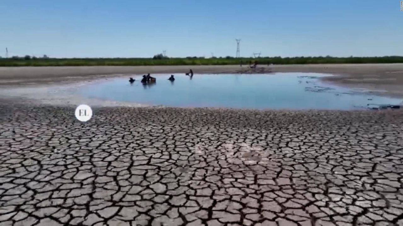 CNNE 1136248 - asi rescatan tortugas acuaticas de laguna en sequia