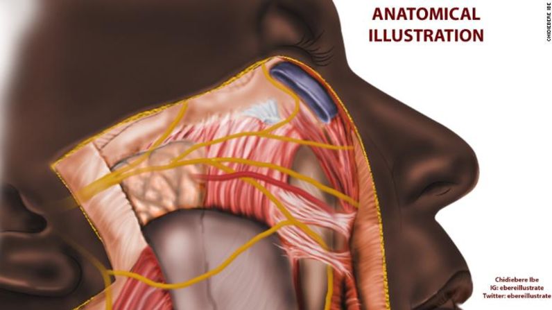 Ibe es director creativo de la Asociación de Futuros Neurocirujanos Africanos y todas sus ilustraciones son de personas negras. "Incluso si estoy trabajando en anatomía, intento en la medida de lo posible (hacerlo) en una persona negra. Así que es un acto deliberado", dice. Crédito: Chidiebere Ibe