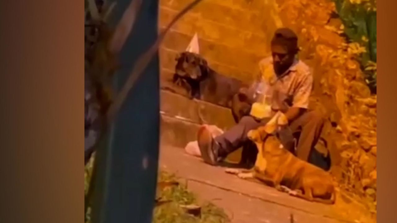 CNNE 1137066 - hombre sin hogar festejo cumpleanos de sus perros