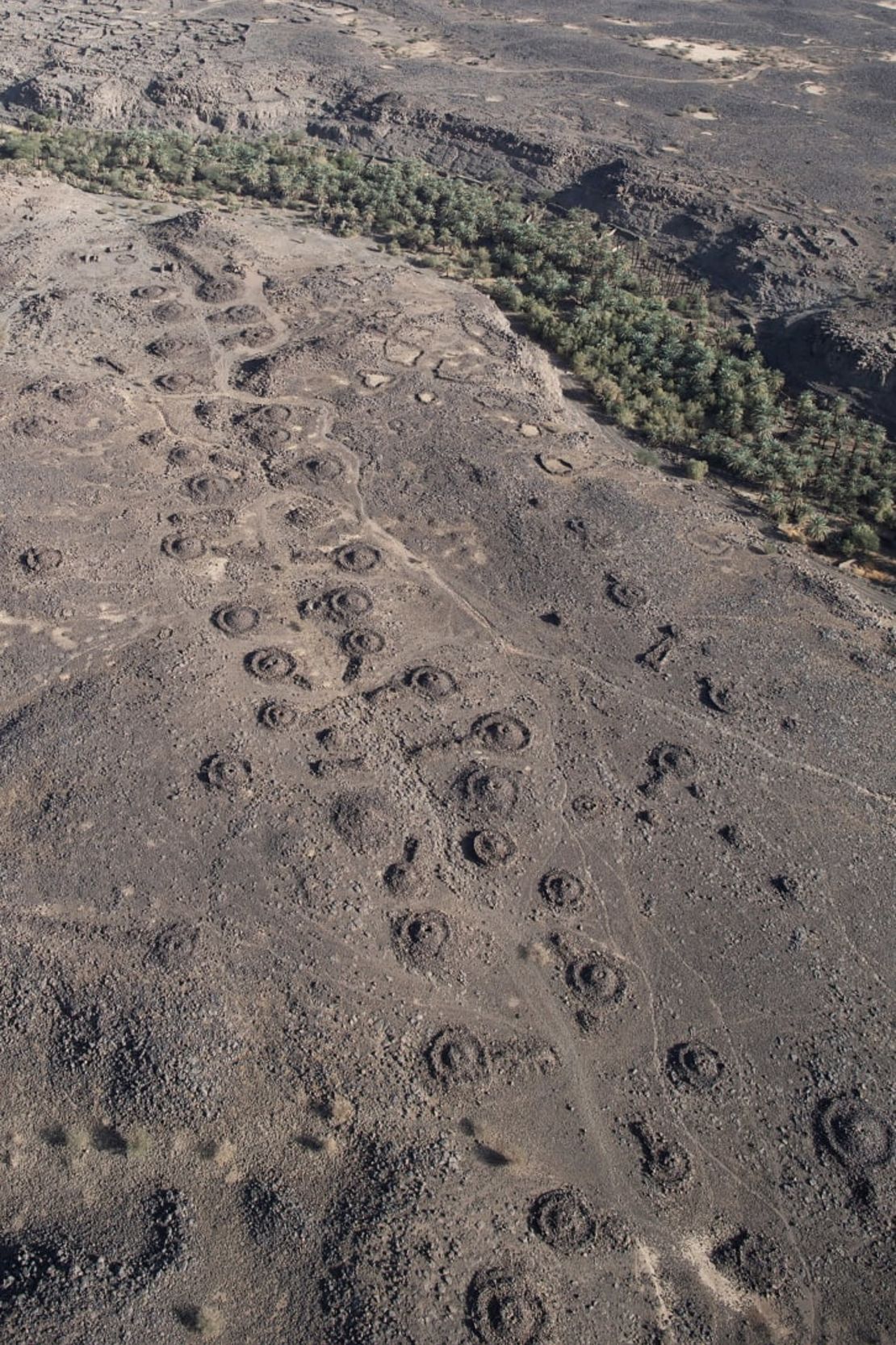 Una densa "avenida funeraria" flanqueada por tumbas de la Edad del Bronce que sale del Oasis de Khaybar en el noroeste de Arabia Saudita. Crédito: Comisión Real para AlUla/AAKSA