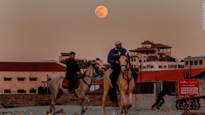 Algunos astrónomos dicen que el fenómeno ocurre cuando la luna está dentro del 90% del perigeo, que es su aproximación más cercana a la Tierra en órbita. En la imagen, palestinos montan a caballo en la playa mientras la luna de lobo se eleva sobre la ciudad de Gaza el 17 de enero.