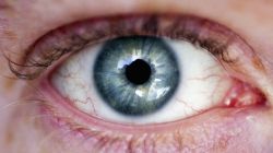 CNNE 1139907 - ojo-eye-gettyimages-53351438