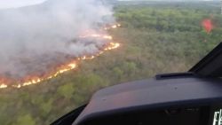 CNNE 1142755 - consecuencias de los incendios en argentina