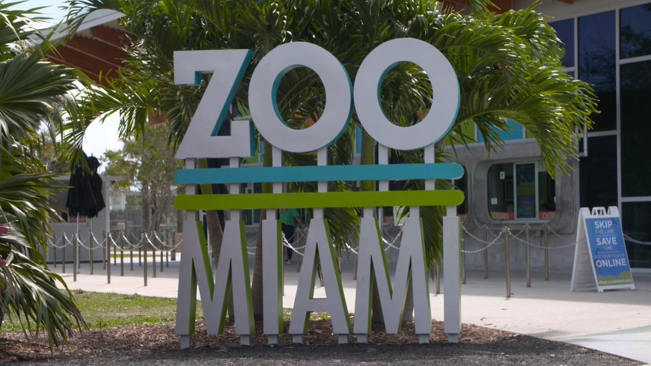 CNNE 1143071 - zoo miami, un lugar amigable para ninos con autismo