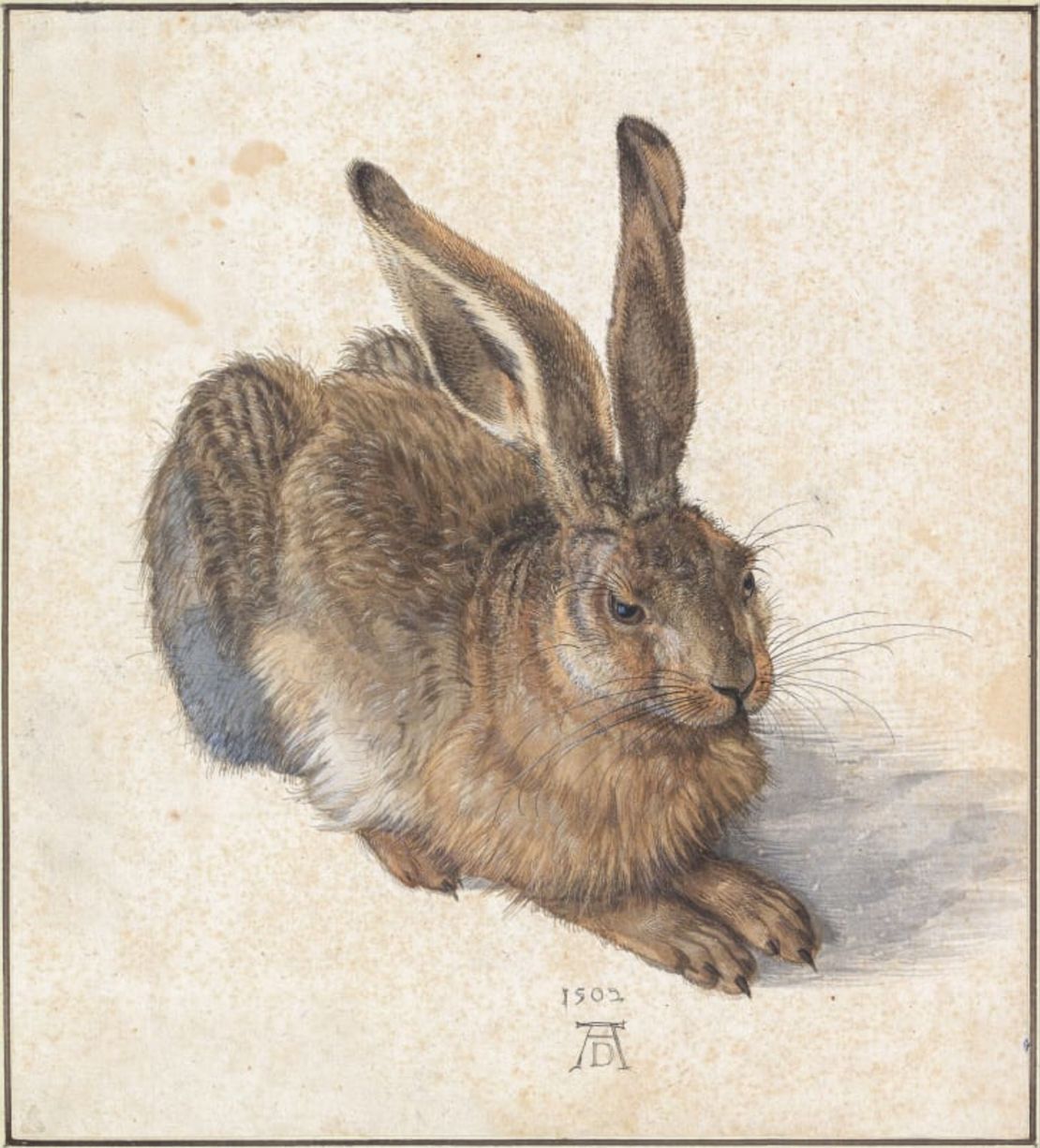 Dürer tenía una gran cantidad de obras significativas. La "Liebre joven", terminada en 1502 y fotografiada aquí, se considera una de las obras más célebres del artista porque es indicativa de su estilo de observación. Crédito: Giorgio Morara/Alamy Stock Photo