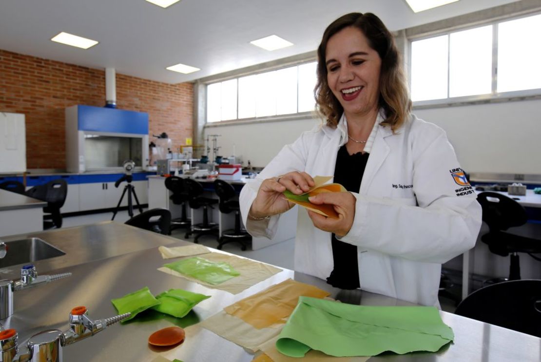 La científica mexicana Sandra Pascoe Ortiz trabaja en un laboratorio de la Universidad del Valle de Atemajac (UNIVA) en Zapopan, Jalisco, el 31 de julio de 2019. (