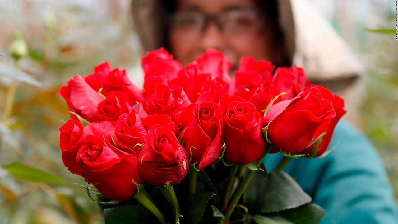 CNNE 1153050 - flores de colombia para el mundo en san valentin