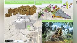 El recién descubierto confractosuchus sauroktonos se remonta al período Cretácico.