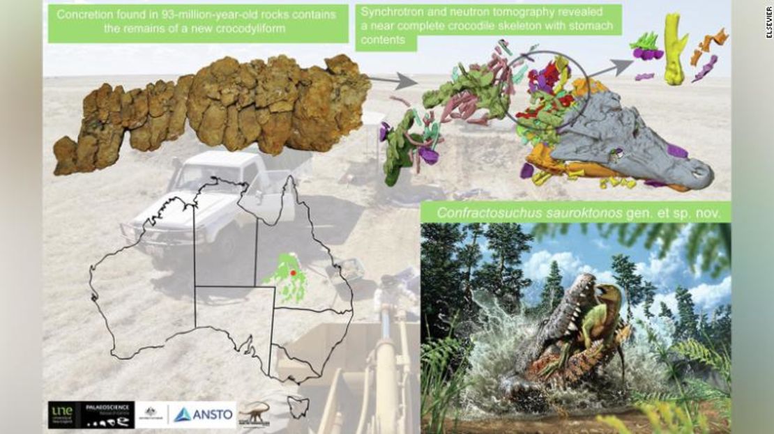 El recién descubierto confractosuchus sauroktonos se remonta al período cretácico.