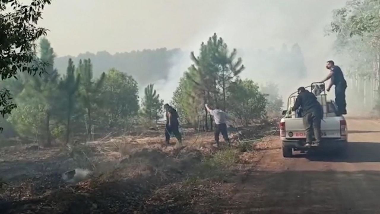 CNNE 1154562 - un incendio forestal afecta una provincia de argentina