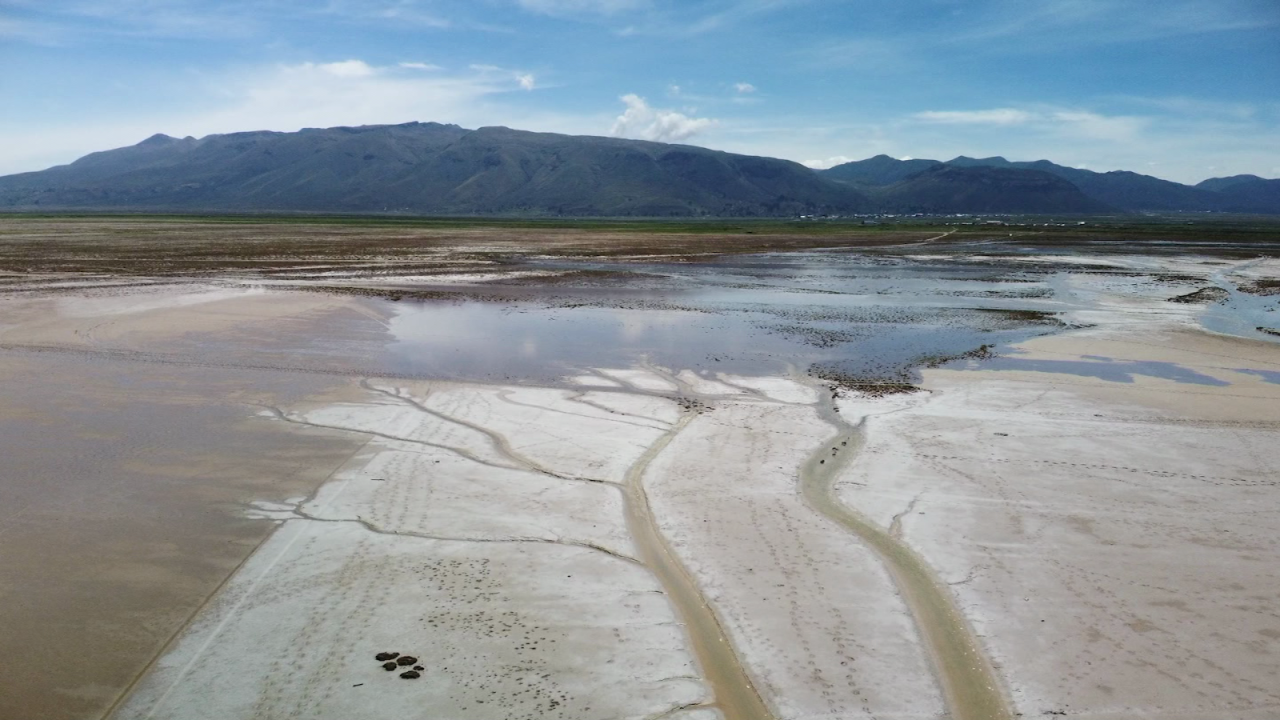 CNNE 1154706 - segundo lago mas grande de bolivia en riesgo de desaparecer