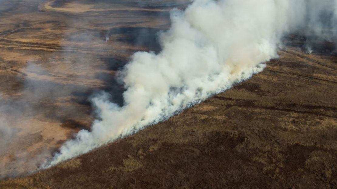 Vista aérea de los incendios forestales que afectan pastos en los humedales de la provincia de Entre Ríos el 30 de agosto de 2021 en San Nicolás de los Arroyos, Argentina. Crédito: Tomás Cuesta/Getty Images