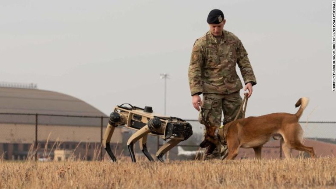 Esta imagen publicada por la Fuerza Aérea de EE.UU. en 2020 muestra a la sargento de personal de la Fuerza Aérea de EE.UU. Carmen Pontello presentando a Hammer, un perro de trabajo, al Ghost Robotics Vision 60 en la base de la Fuerza Aérea Scott en Illinois.