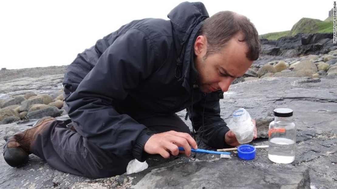 El fósil de pterosaurio es el más grande que se conoce del periodo Jurásico, dijo Steve Brusatte, profesor de paleontología y evolución de la Universidad de Edimburgo.