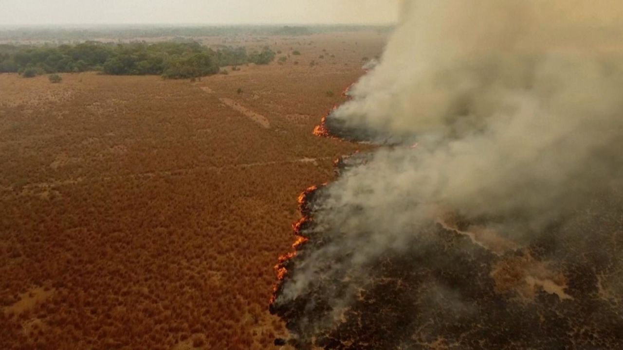 CNNE 1158554 - onu alerta sobre aumento de los incendios forestales