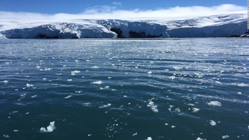 Focas ayudan a descifrar los misterios de la capa de hielo de la Antártida | CNN