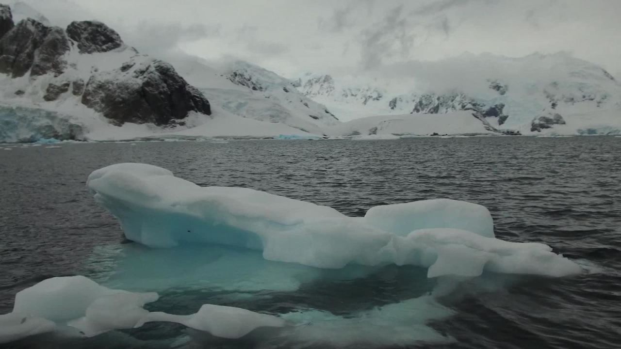 CNNE 1162857 - hielo marino de la antartida registra su nivel mas bajo