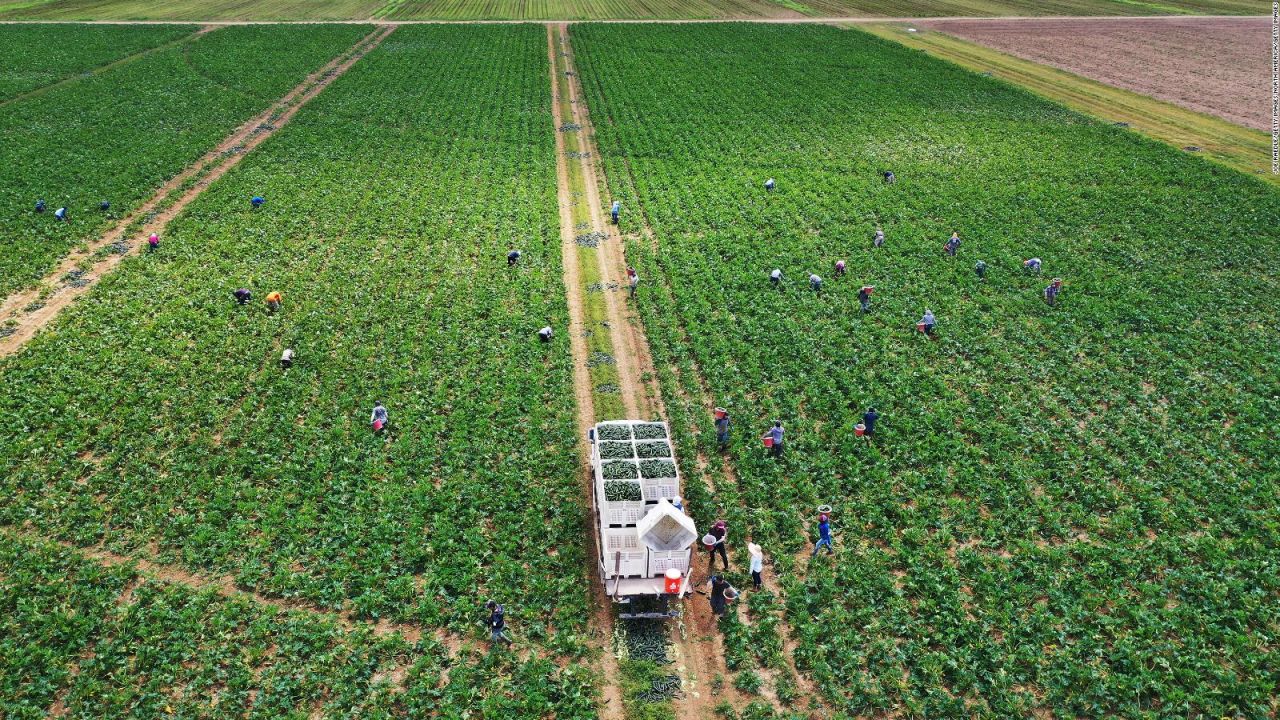 CNNE 1163347 - ¿como impulsar la agricultura regenerativa?