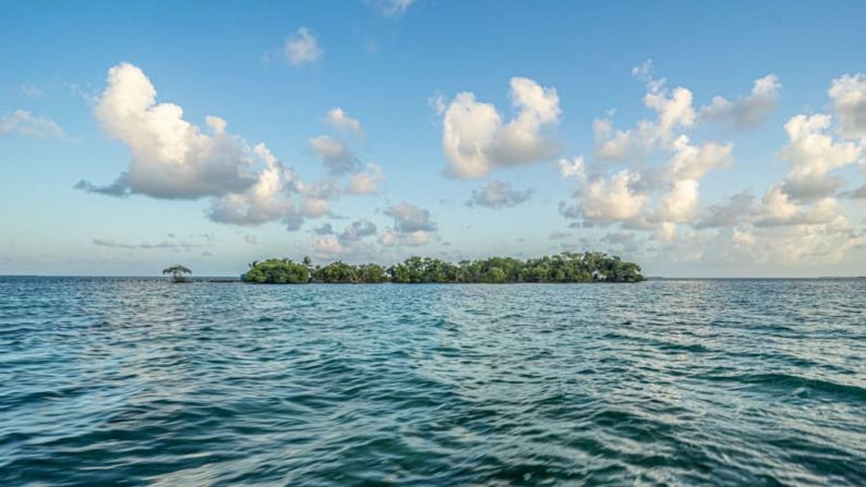 CNNE 1166844 - galeria-isla-micronacion-belize-cnn-13