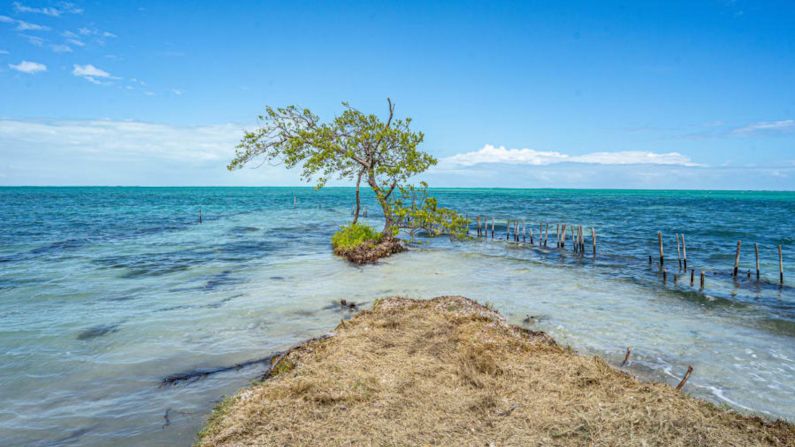 'Una sensación increíble' — "Esa sensación de pisar una isla en la que has invertido y que posees es una sensación increíble", dice Marshall Mayer, quien cofundó el proyecto para adquirir Coffee Caye.