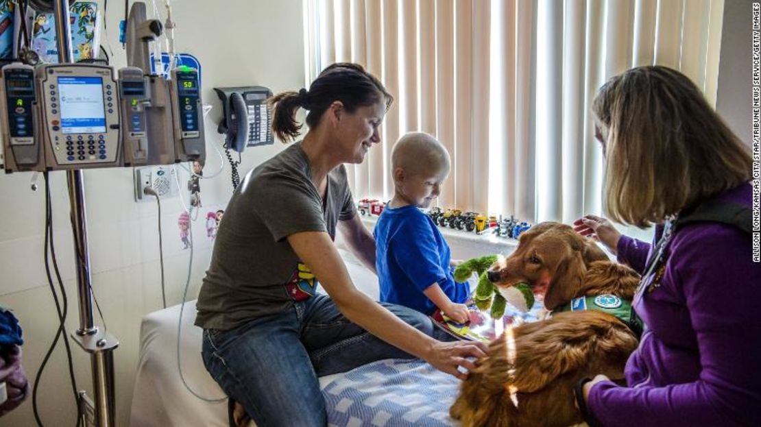 Hunter, un perro de terapia, y su adiestradora, Amanda Woelk (derecha), se sientan con Tyler Regier (en el centro), de 2 años, y su madre, Tina Regier (izquierda), en el Hospital Infantil Mercy de Kansas City, Missouri.