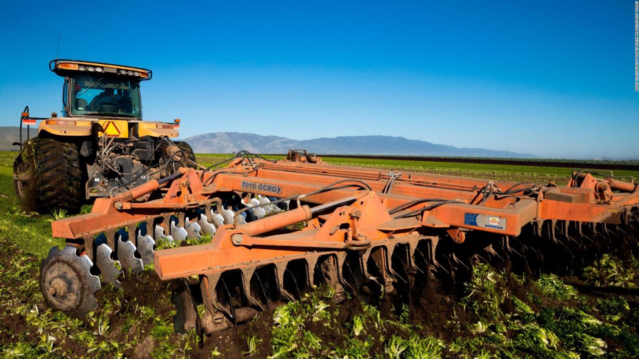 GREENFIELD, CA - April 28, 2020: A tractor towing ploughing discs ploughs under what would have been ???Spring Mix,??? a popular salad mix that usually sees wide distribution across the food industry. Due to the near demise of the food service industry under Covid-19, many fields like this are simply ploughed under as there is no profit and only expense in harvesting them.
