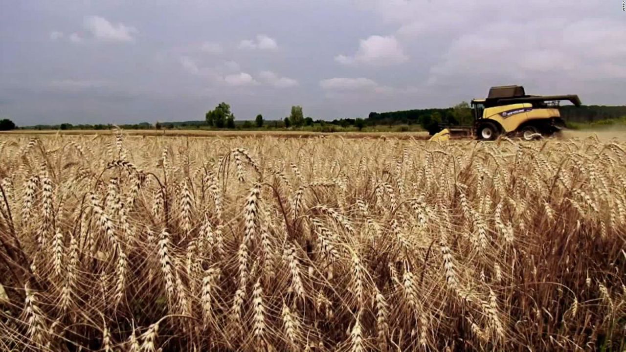 CNNE 1173520 - peligra cadena alimentaria por la guerra de rusia en ucrania