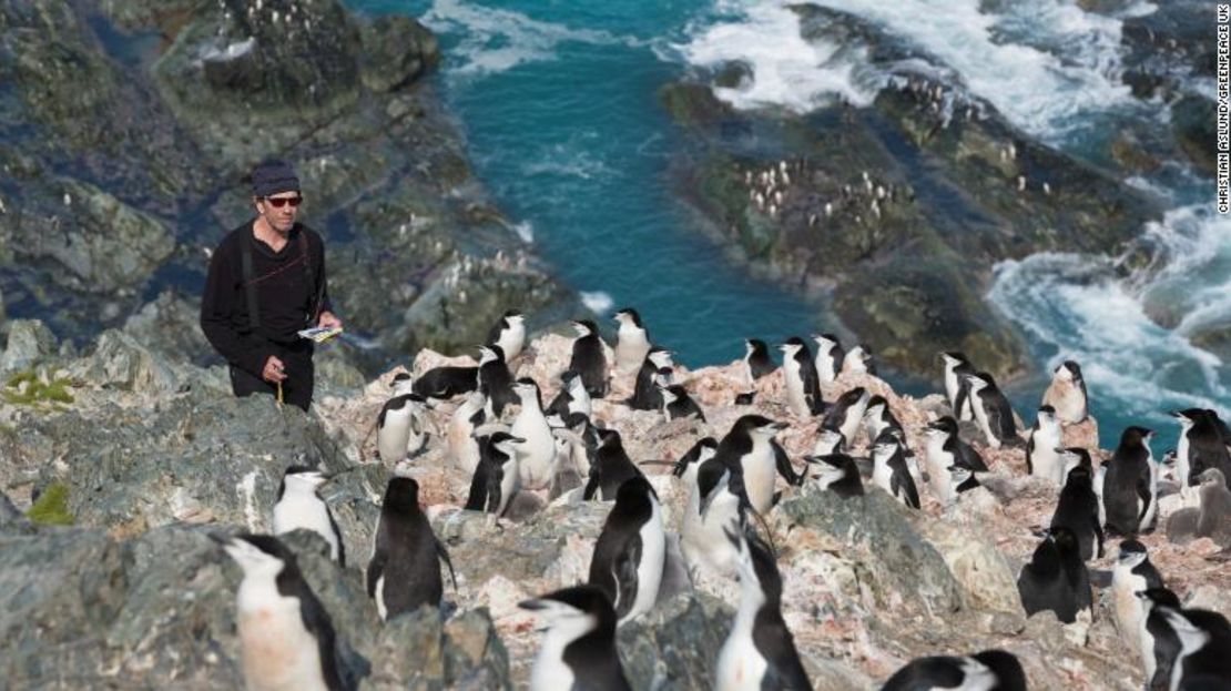 El científico Steve Forrest, de la Universidad Stony Brook, cuenta los pingüinos de barbijo en Elephant Island.