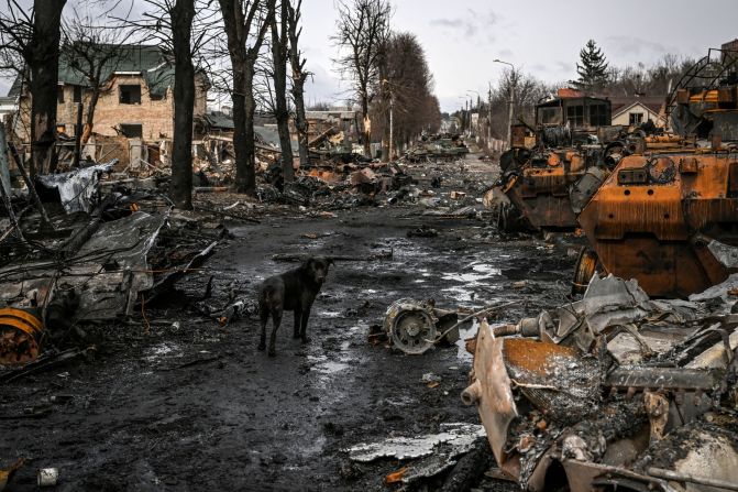 Un perro se encuentra entre vehículos blindados rusos destruidos el 4 de marzo tras el ataque a la ciudad. Crédito: Aris Messinis/AFP/Getty Images