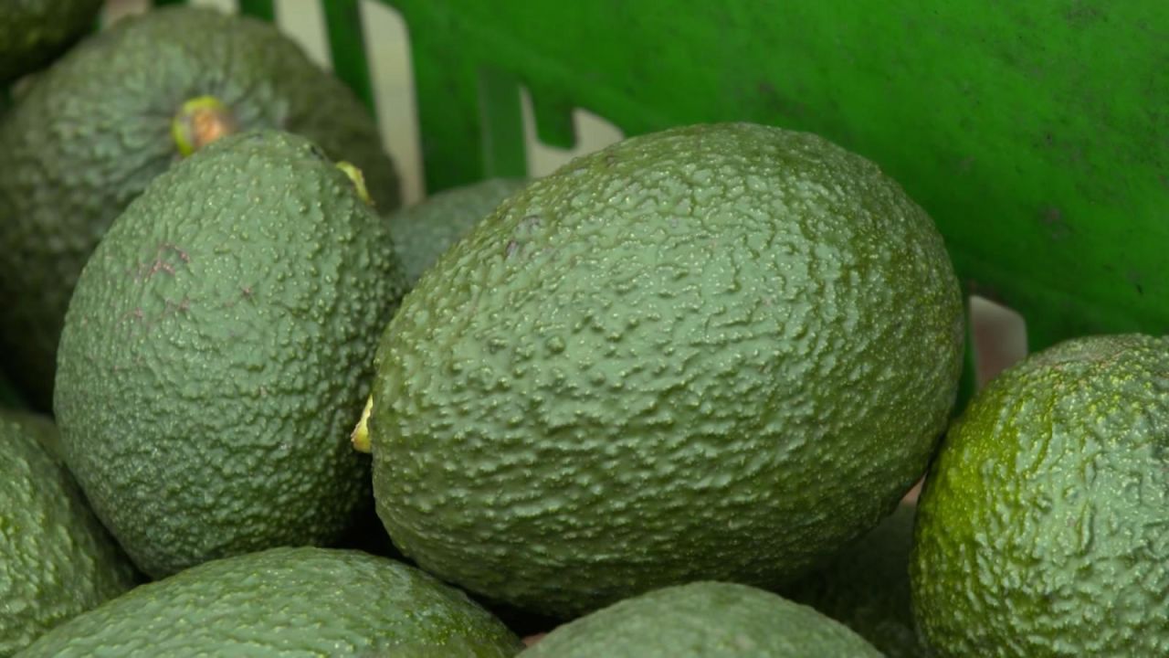 CNNE 1178724 - el aguacate es un nuevo aliado para tu corazon