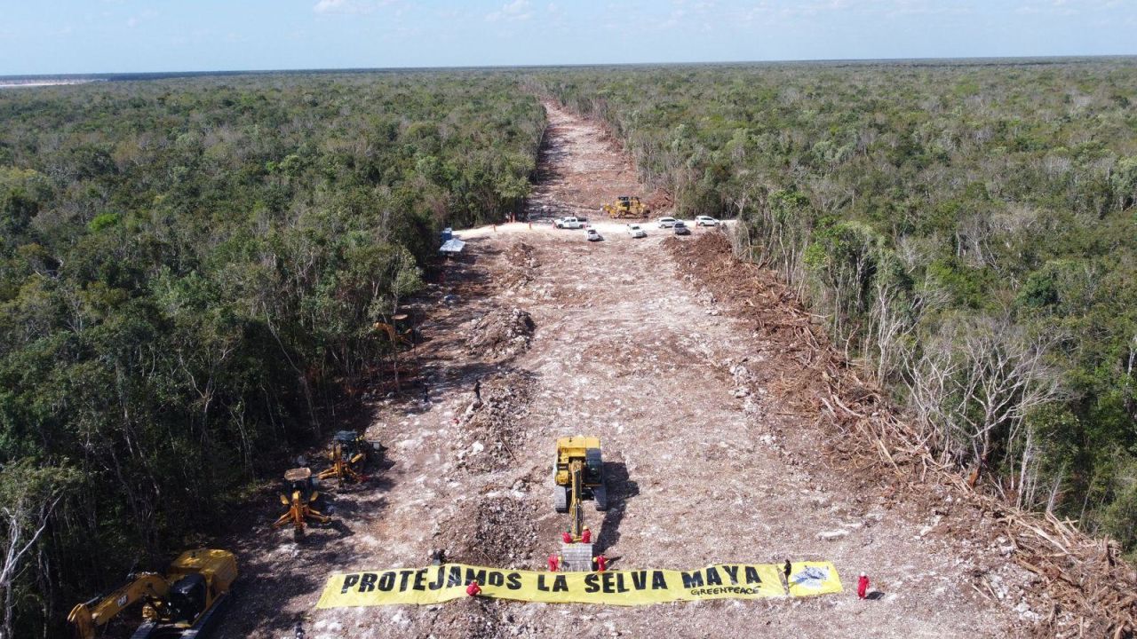 CNNE 1180333 - greenpeace advierte dano irreparable por tren maya