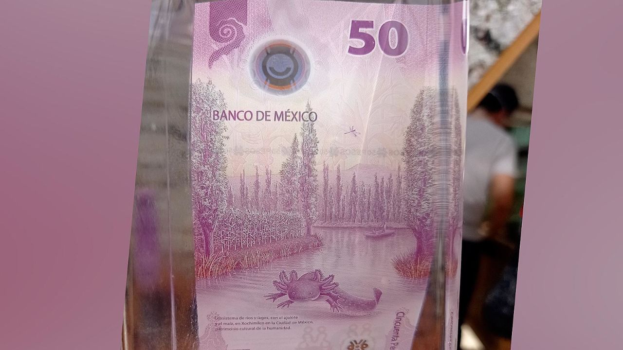 CNNE 1181902 - billete mexicano del ajolote gana reconocimiento mundial