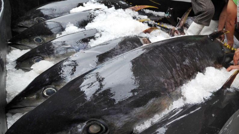 Atún - La salmonela en un producto de atún amarillo crudo congelado, conocido como Nakaochi Scrape, enfermó a 425 personas y hospitalizó a 55 en la primavera y el verano de 2012. El sushi elaborado con atún crudo congelado está relacionado con 62 casos de salmonela este año. Estos son algunos de los mayores brotes de enfermedades alimentarias desde 2001.