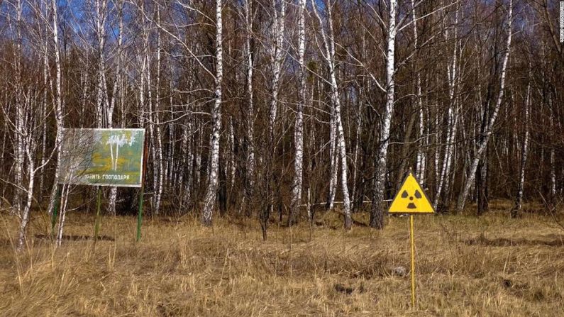 Carteles advierten contra el ingreso al Bosque Rojo alrededor de Chernobyl, que es uno de los sitios nucleares más contaminados del planeta.