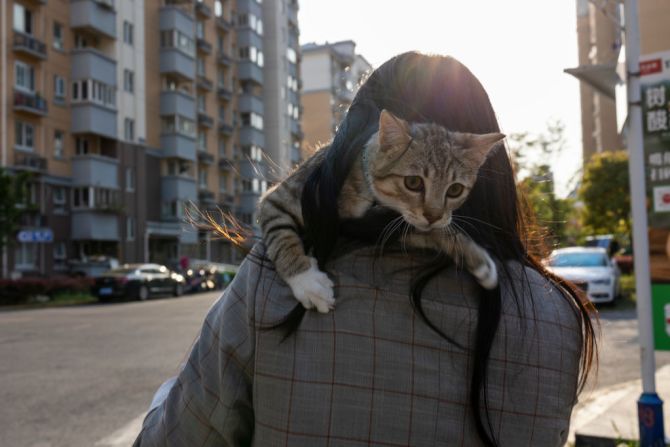 Una niña lleva un gato en una zona residencial el 12 de abril de 2022 en Shanghai, China. Unos 25 millones de personas en Shanghái se encuentran en la segunda semana de un confinamiento estricto, luego de un aumento en los casos de ómicron.