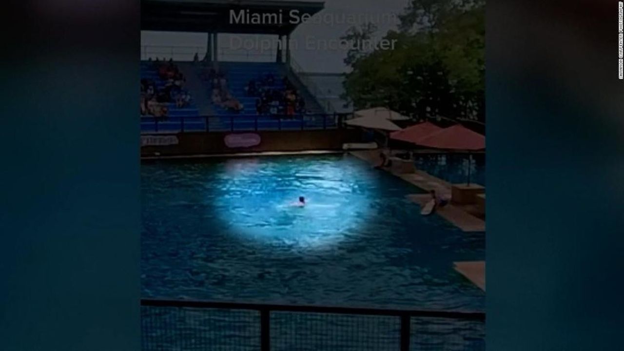CNNE 1188346 - video graba el instante en que un delfin ataca a su entrenadora