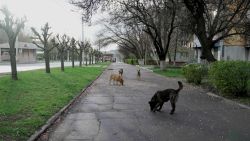 CNNE 1190509 - kramatorsk ciudad ucrania desolada invasionrusia