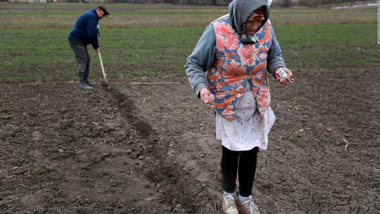 CNNE 1192034 - agricultores ucranianos, entre la defensa y la produccion