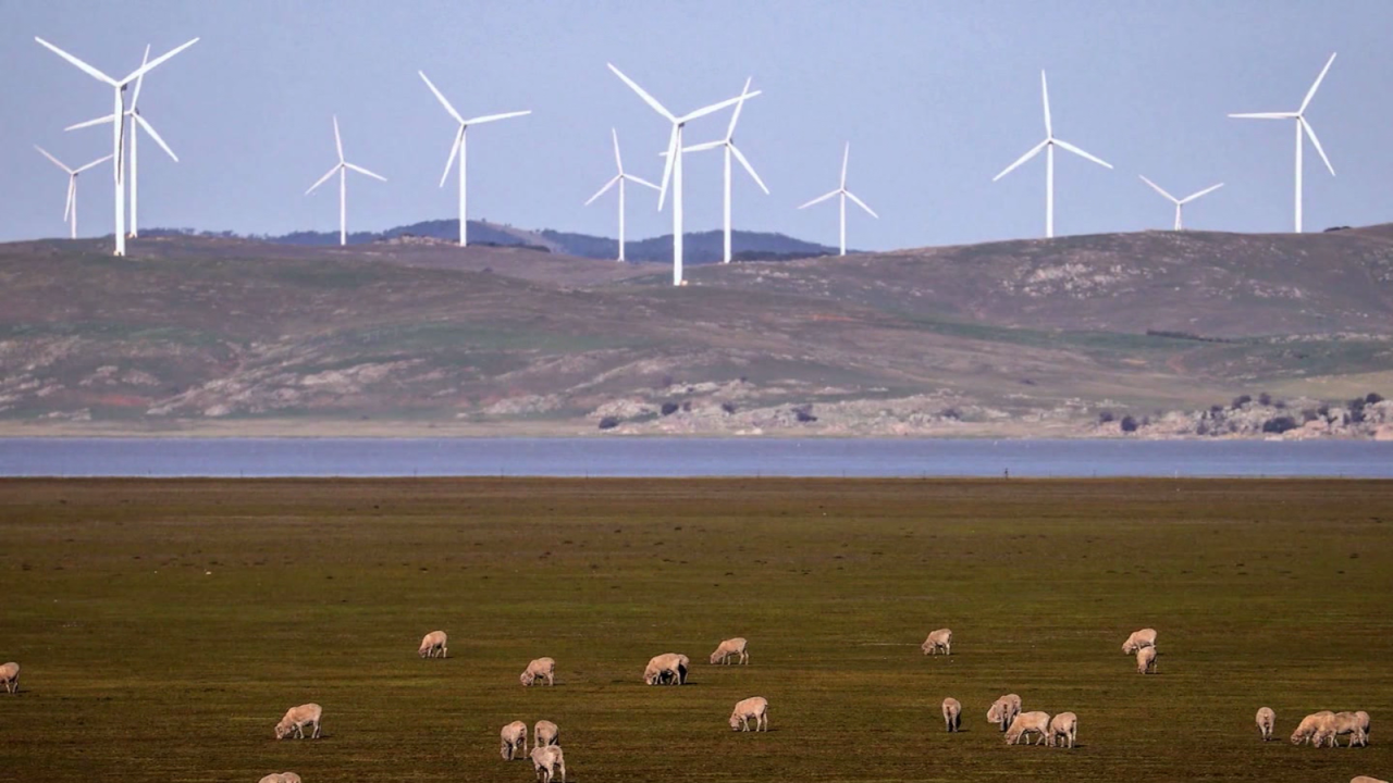 CNNE 1192633 - ¿podra ser la energia eolica una fuente de electricidad vital en ee-uu-?