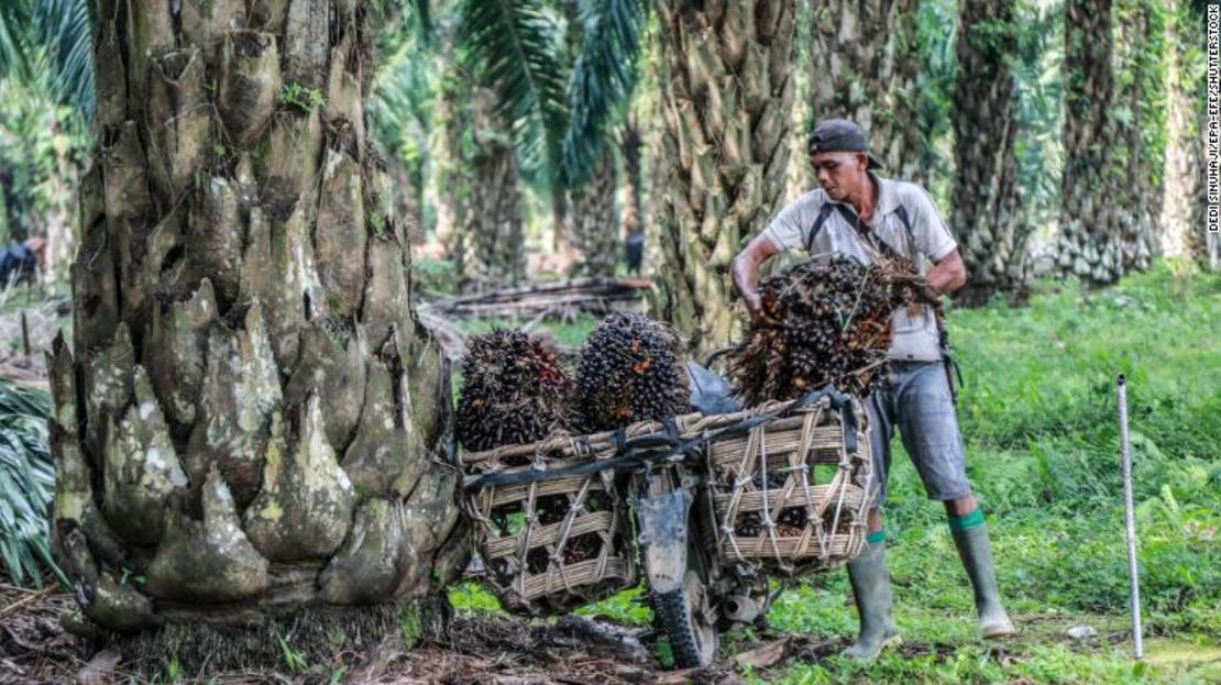 Un trabajador carga frutos de palma recién cosechados en su motocicleta en una plantación de aceite de palma en Deliserdang, Sumatra del Norte, Indonesia, 15 de marzo de 2022.