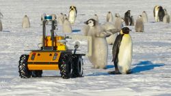 CNNE 1198781 - mira al pequeno robot que espia a los pinguinos en la antartida