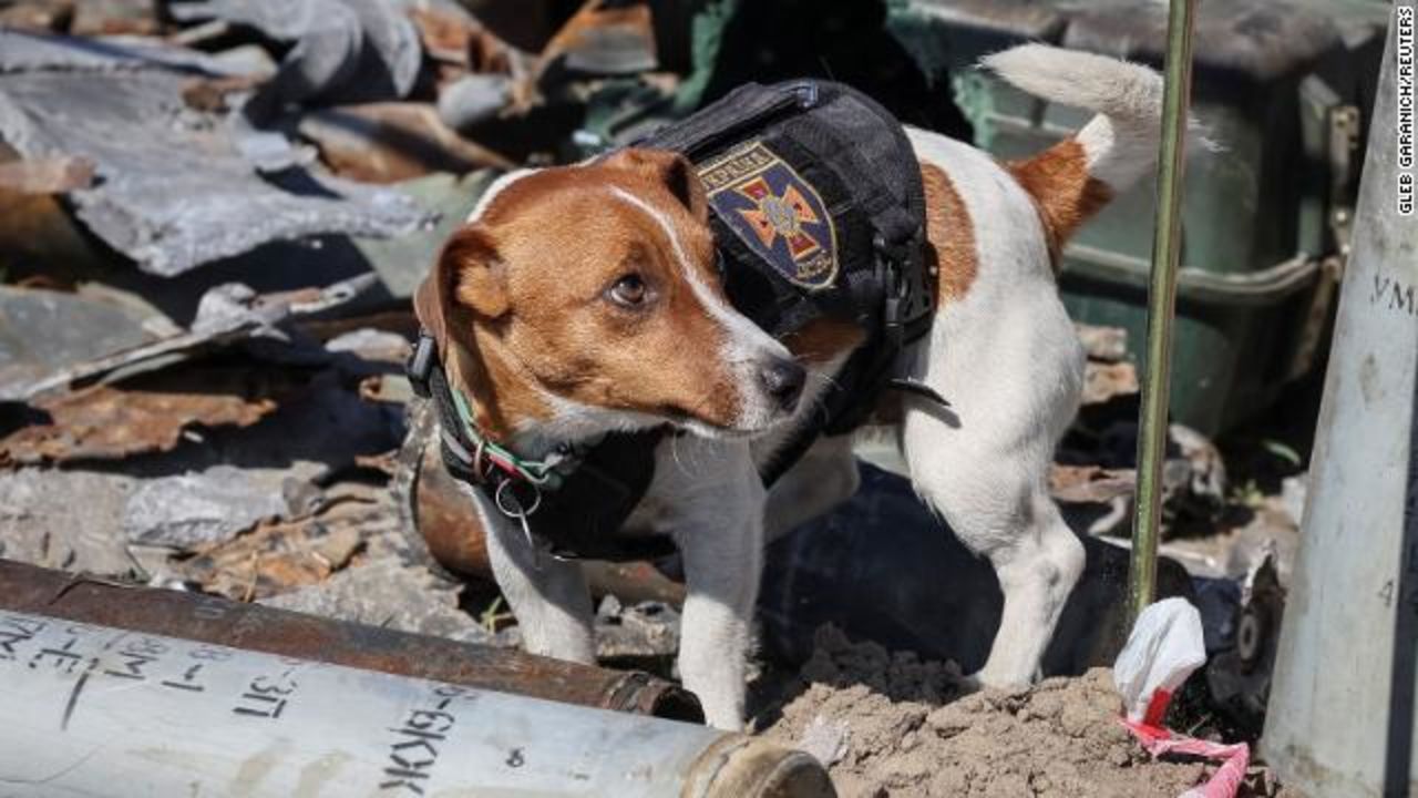 CNNE 1204186 - 220508154624-01-ukraine-top-dog-story-top