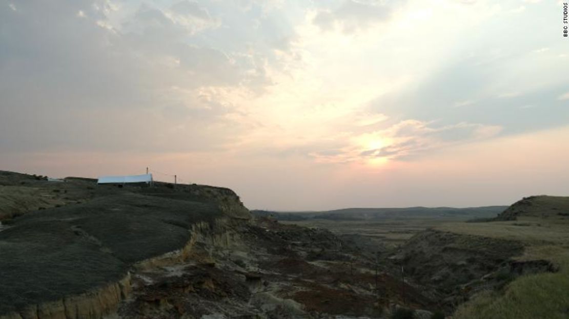 El yacimiento de fósiles de Tanis, en Dakota del Norte, habría sido una selva pantanosa hace 66 millones de años.