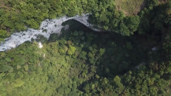 CNNE 1210174 - mira el impactante bosque oculto que hallaron en un sumidero